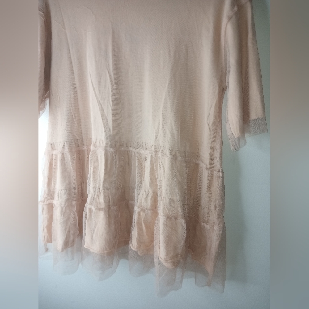 Sheer Ruffled Blouse Large - Picture 2 of 3